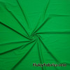 Green Solid Nylon Spandex Swimsuit Fabric