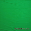 Green Solid Nylon Spandex Swimsuit Fabric