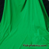 Green Solid Nylon Spandex Swimsuit Fabric