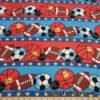 Sports Balls on Poly Fleece Fabric at flukyfabrics.com