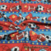 Sports Balls on Poly Fleece Fabric