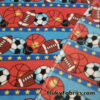 Sports Balls on Poly Fleece Fabric
