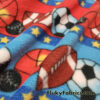 Sports Balls on Poly Fleece Fabric