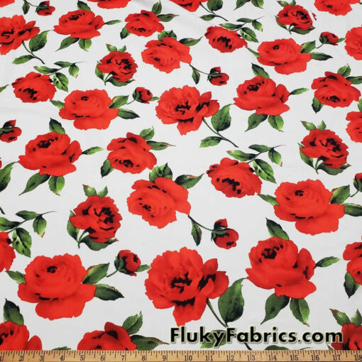 Big Red Cabbage Roses Cotton Knit Fabric