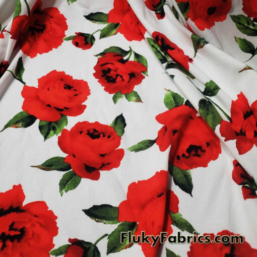 Big Red Cabbage Roses Cotton Knit Fabric