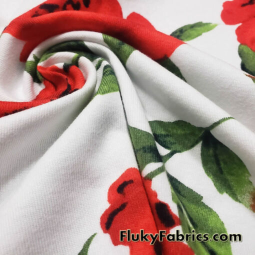Big Red Cabbage Roses Cotton Knit Fabric