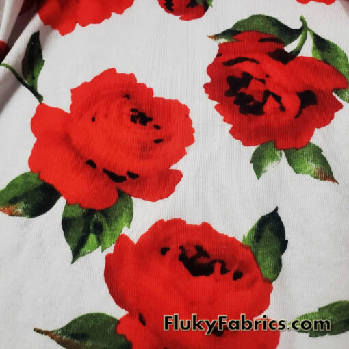Big Red Cabbage Roses Cotton Knit Fabric
