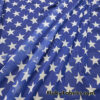 Patriotic Star Print Nylon Spandex 4-Way Stretch Power Mesh Fabric