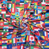 Flags of the World Print – 4-Way Stretch White Nylon Spandex Fabric