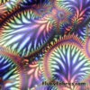Psychedelic Abstract Circle Nylon Spandex Fabric
